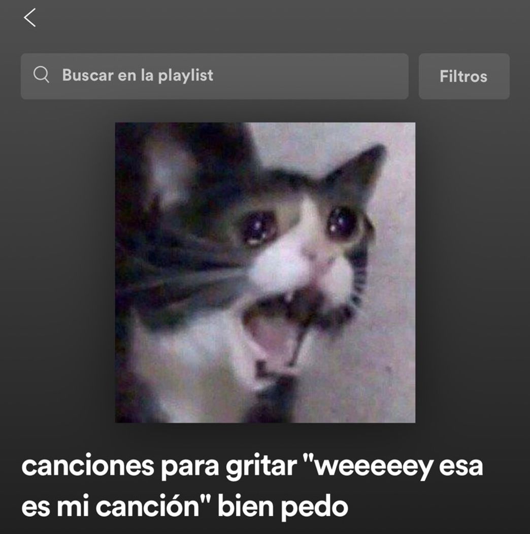 Moda Canciones para gritar “weeeeeey esa es mi canción” bien pedo