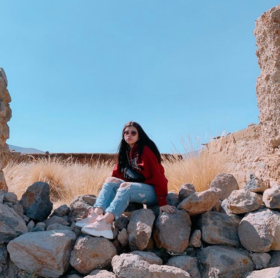 Place Pampa de Arrieros