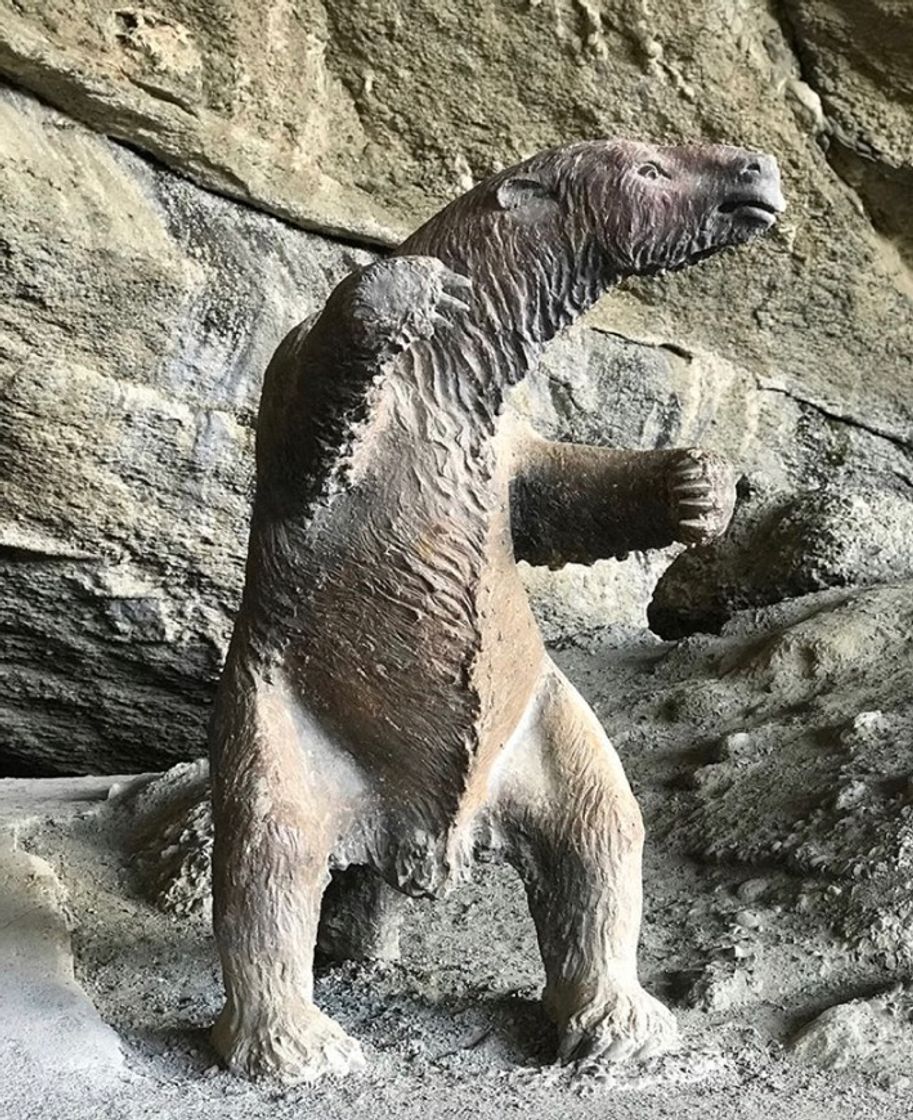 Place Cueva del Milodon