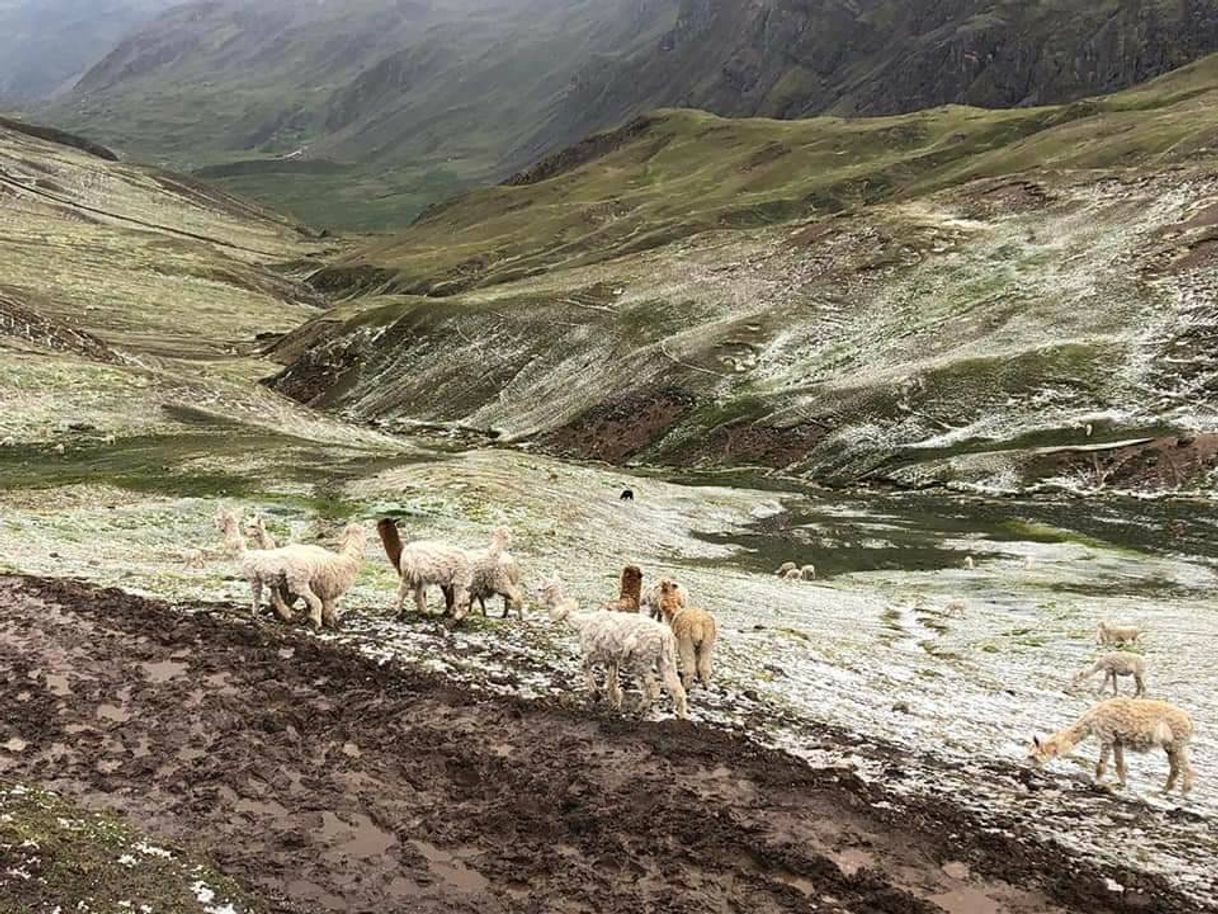 Lugar Agencia Vinicunca, Montaña Arcoiris