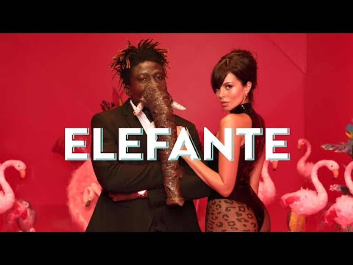 Music Elefante