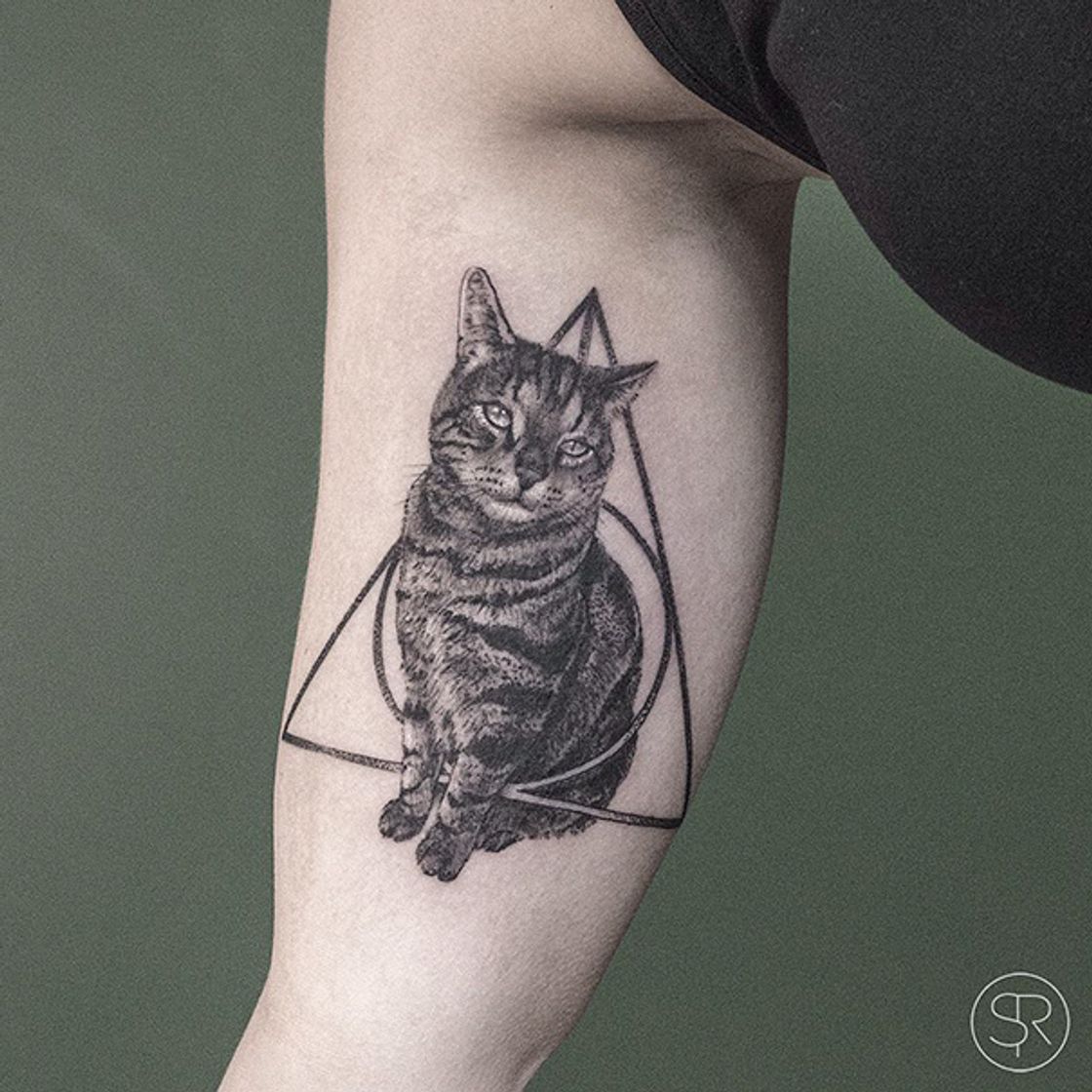 Fashion Tatuagem Gatos 