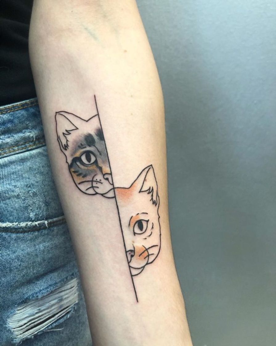 Fashion Tatuagem gatos