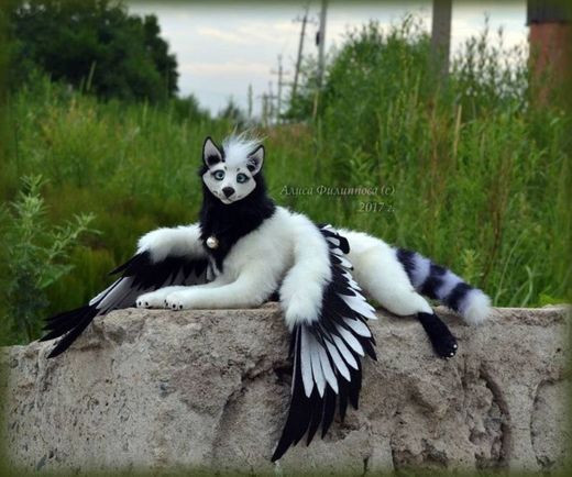 Dragão cachorro🙀😍que coisa mais perfeita🙀