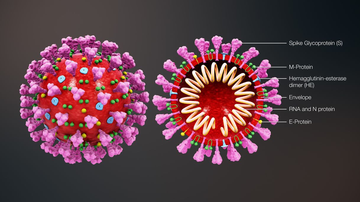 Moda CORONAVIRUS 