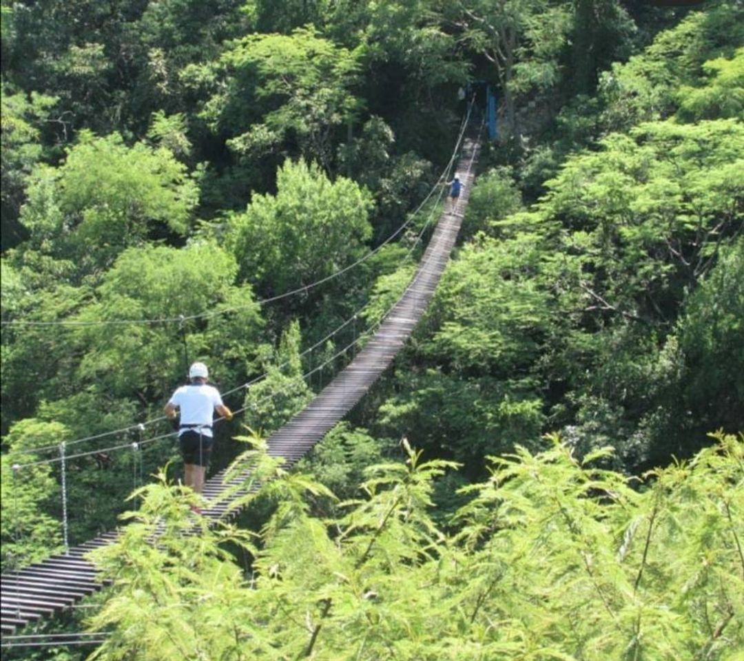 Lugar Parque Nacional Grutas de Cacahuamilpa