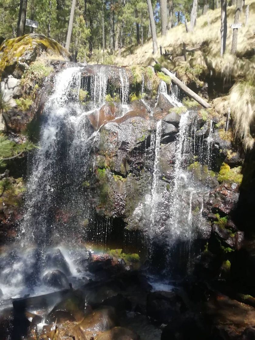 Lugar Parque Ecológico Apatlaco