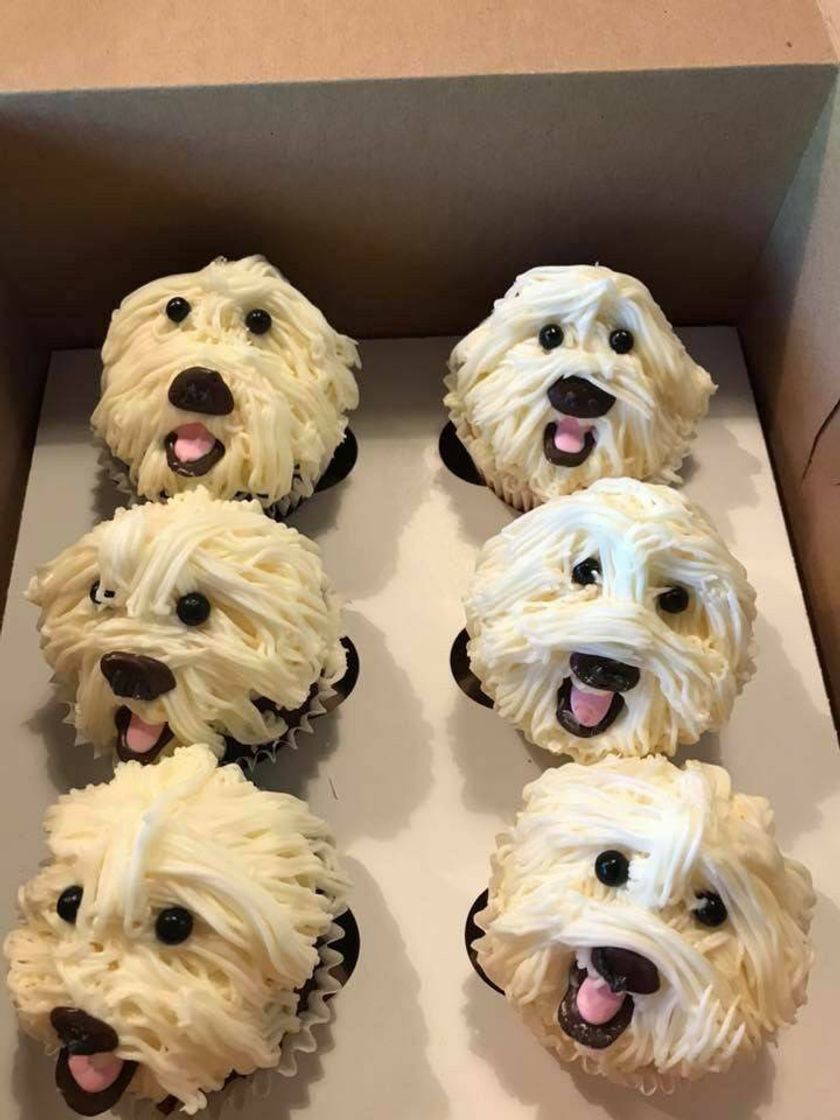 Fashion Pup cakes! 