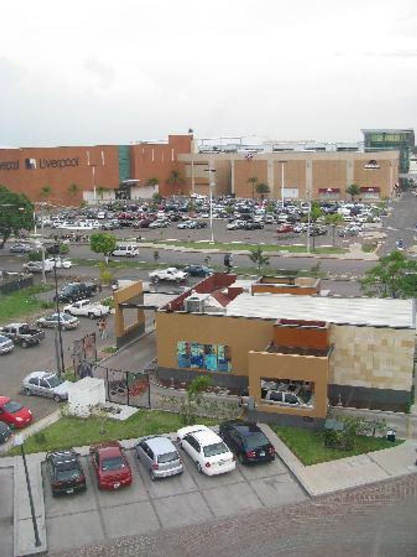 Restaurants STARBUCKS PLAZA CIBELES