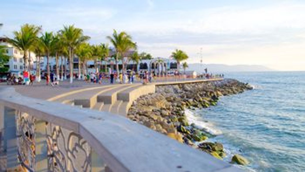 Place Malecón Puerto Vallarta