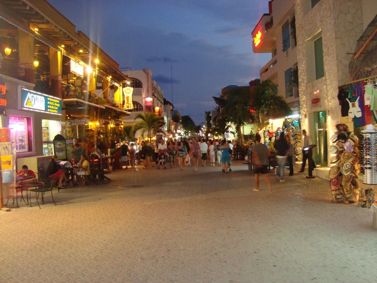 Lugar Calle Quinta Avenida