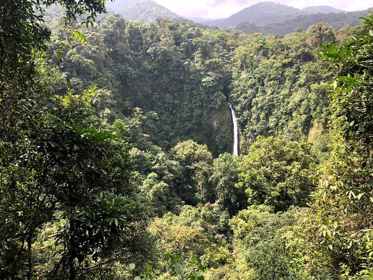 Lugar Catarata La Fortuna