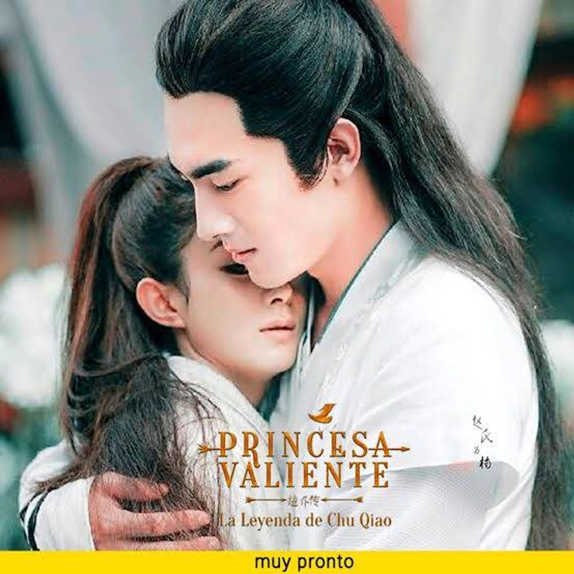 Movies Princesa valienta