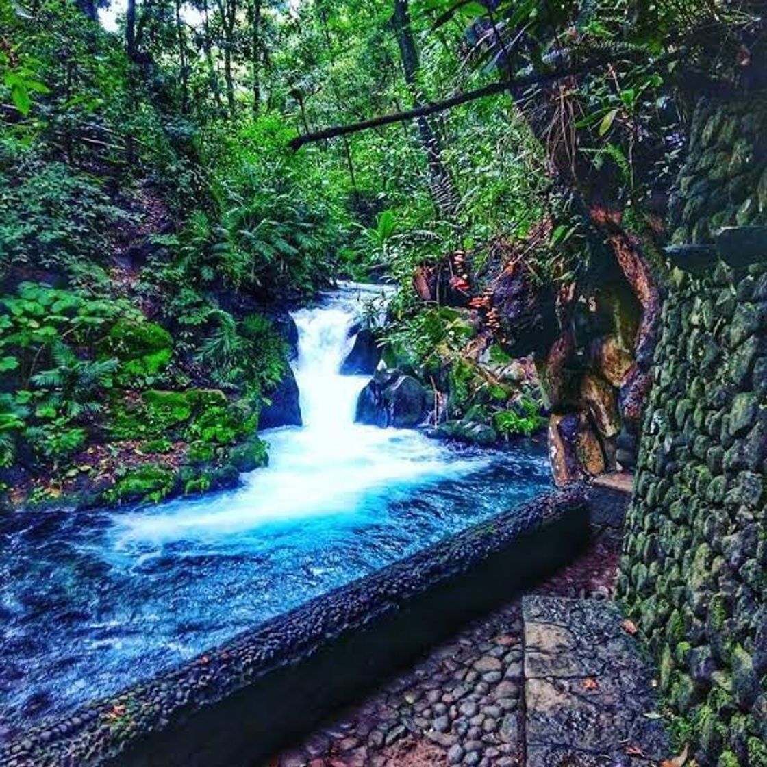 Lugar Parque Nacional de Uruapan