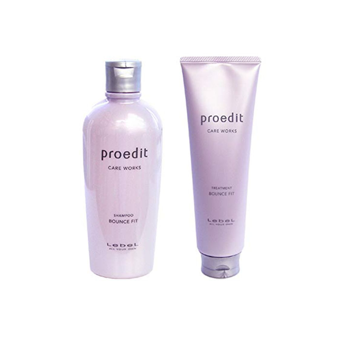 Producto Lebel Proedit Care Works Hair Shampoo 300ml & Hair Ttreatment 250ml Set