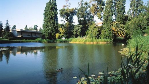 Parque Gulbenkian