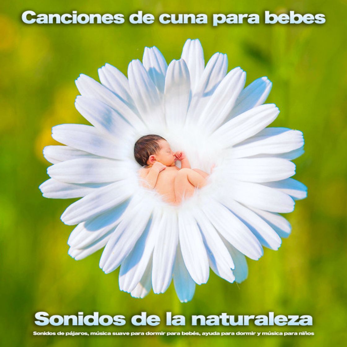 Canción Canciones infantiles