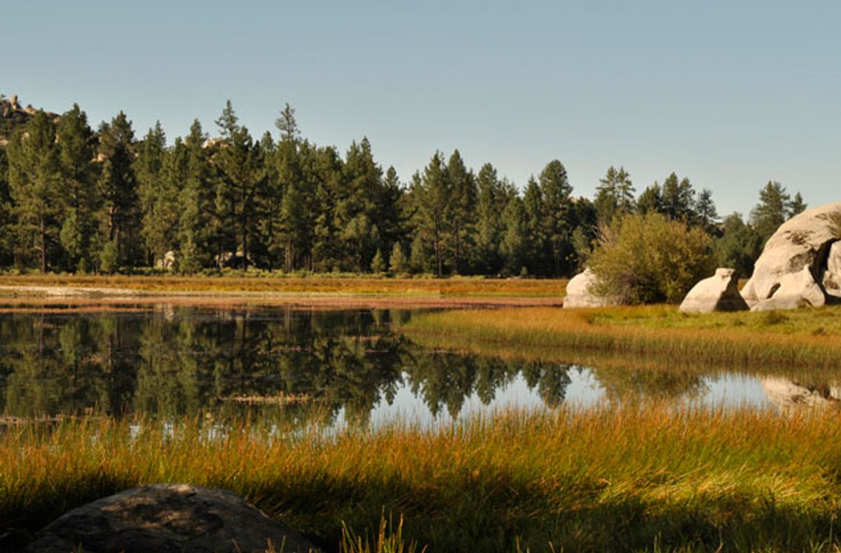 Lugar Parque Nacional Constitución de 1857