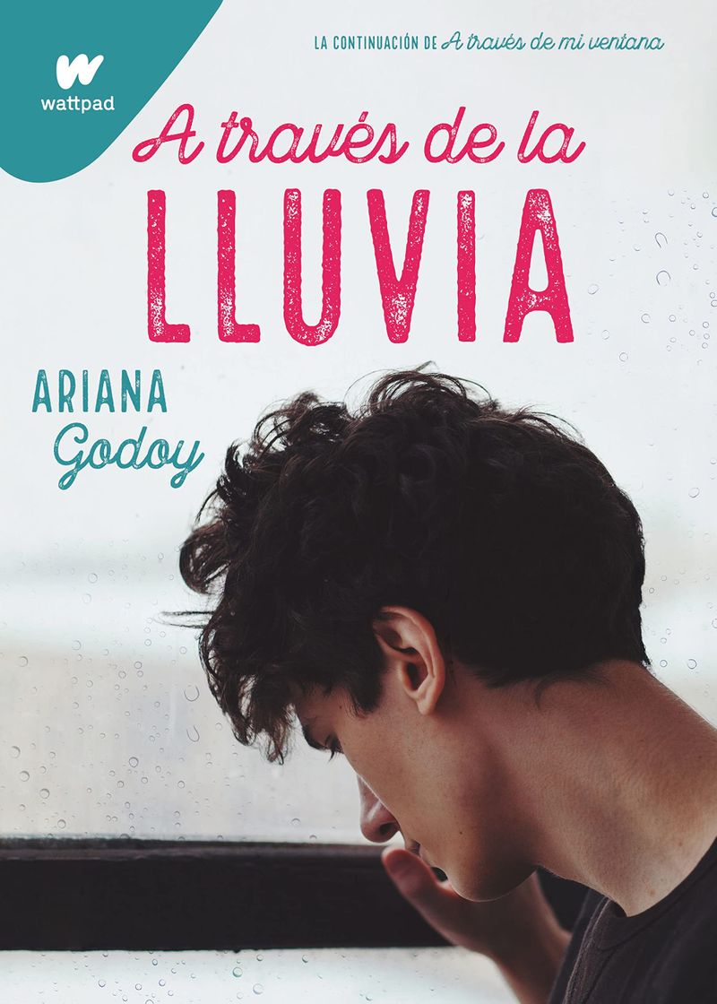 Libro A través de la lluvia