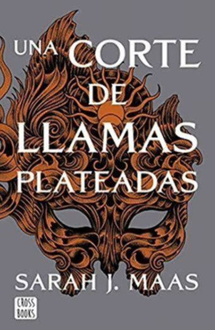 Libro Una corte de llamas plateadas