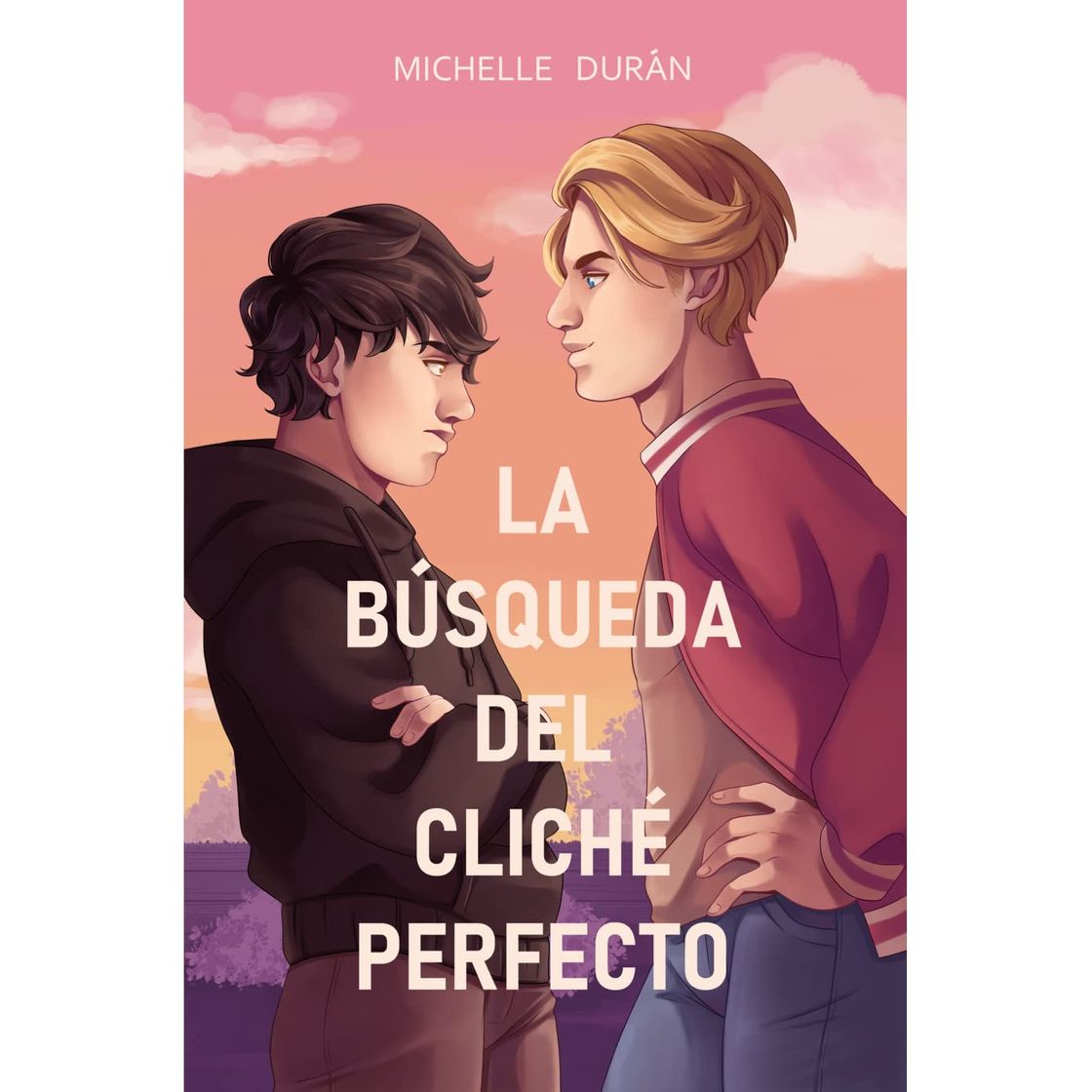 Libro La busqueda del cliché perfecto