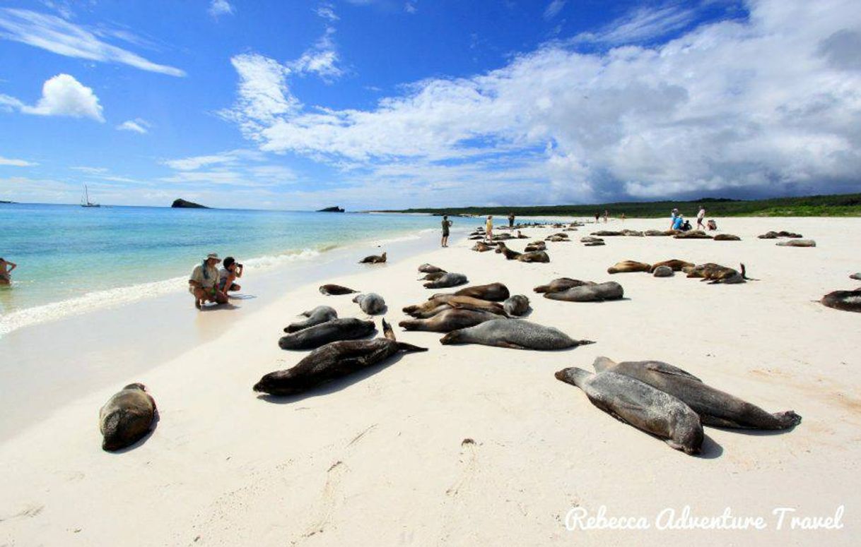 Lugar Galapagos