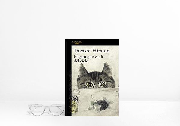 Book El gato que venía del cielo