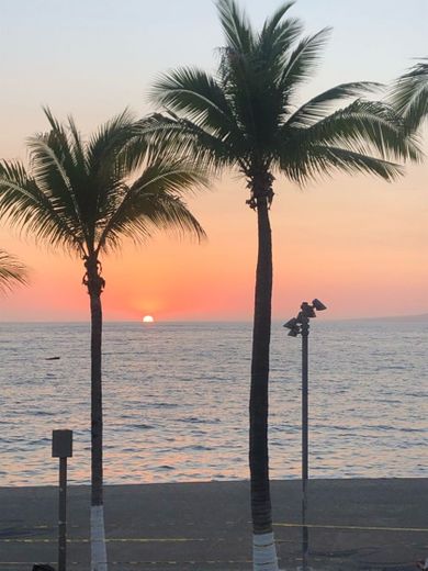 Puerto vallarta malecon