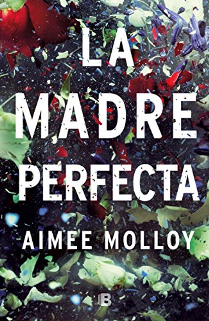 Libro La madre perfecta