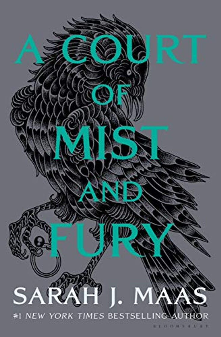 Libro A Court of Mist and Fury