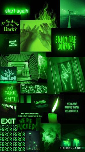 Tumblr💚