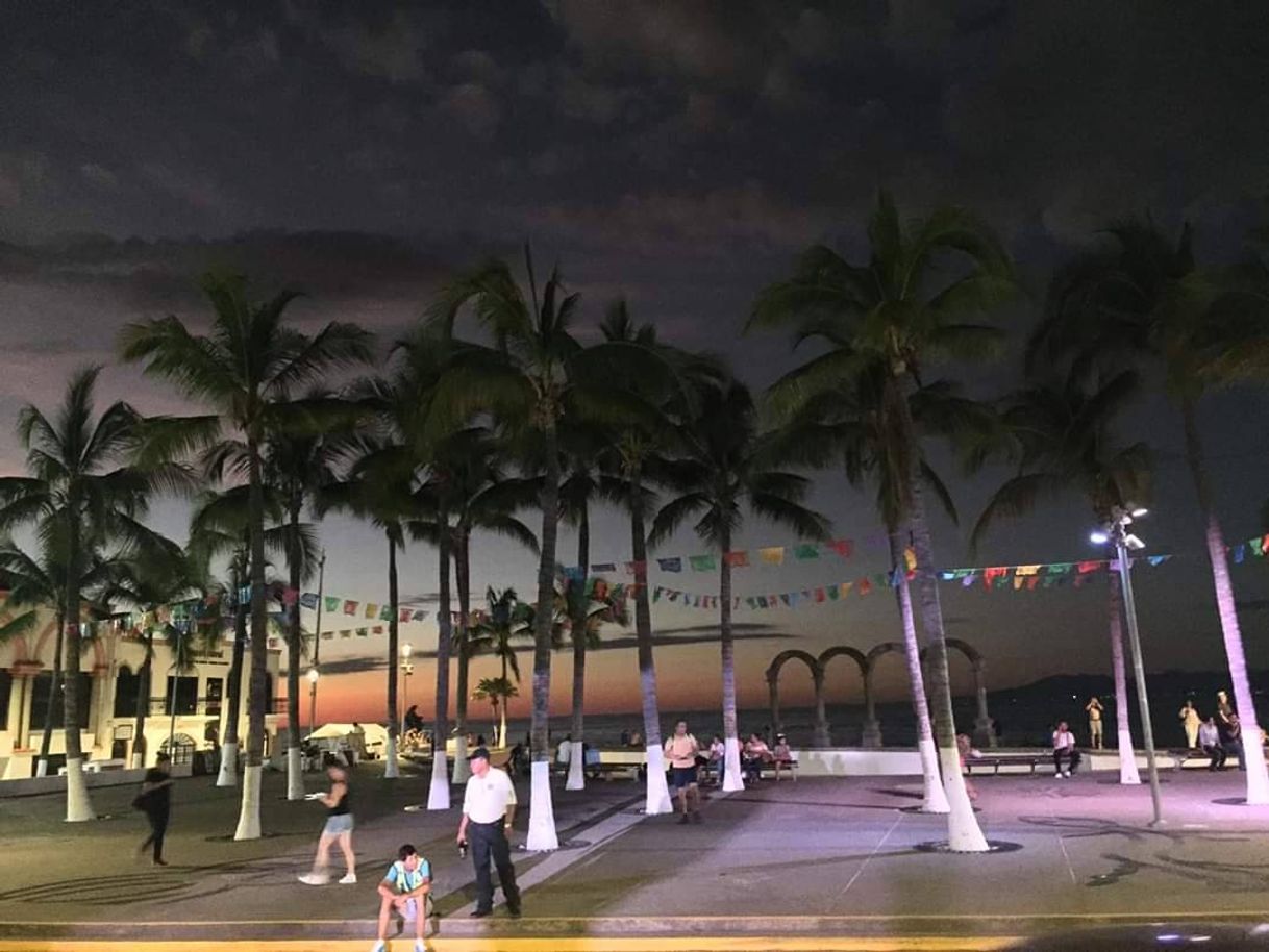 Place Malecon Puerto Vallarta