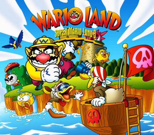 Wario Land, Super Mario Land 3