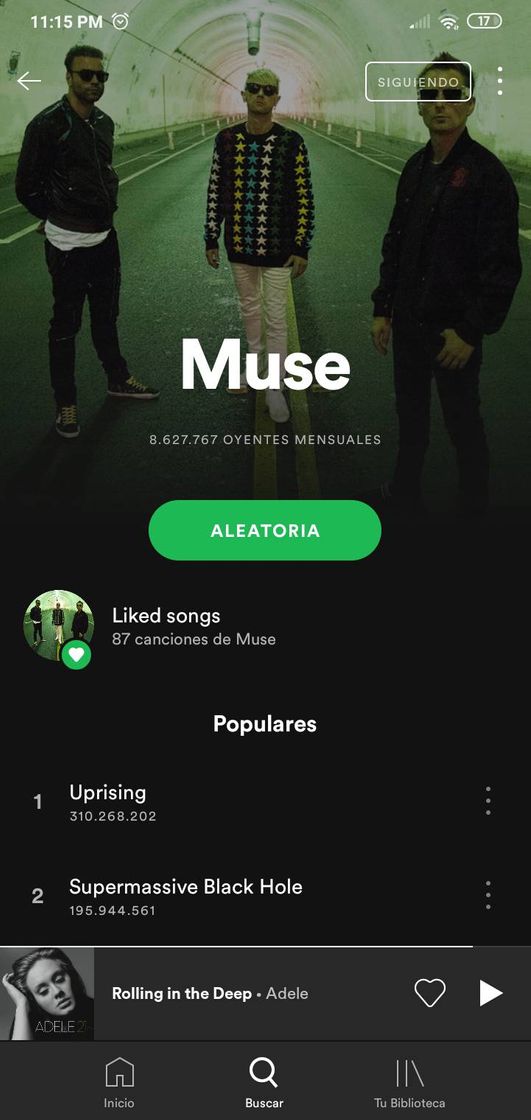 Music Muse