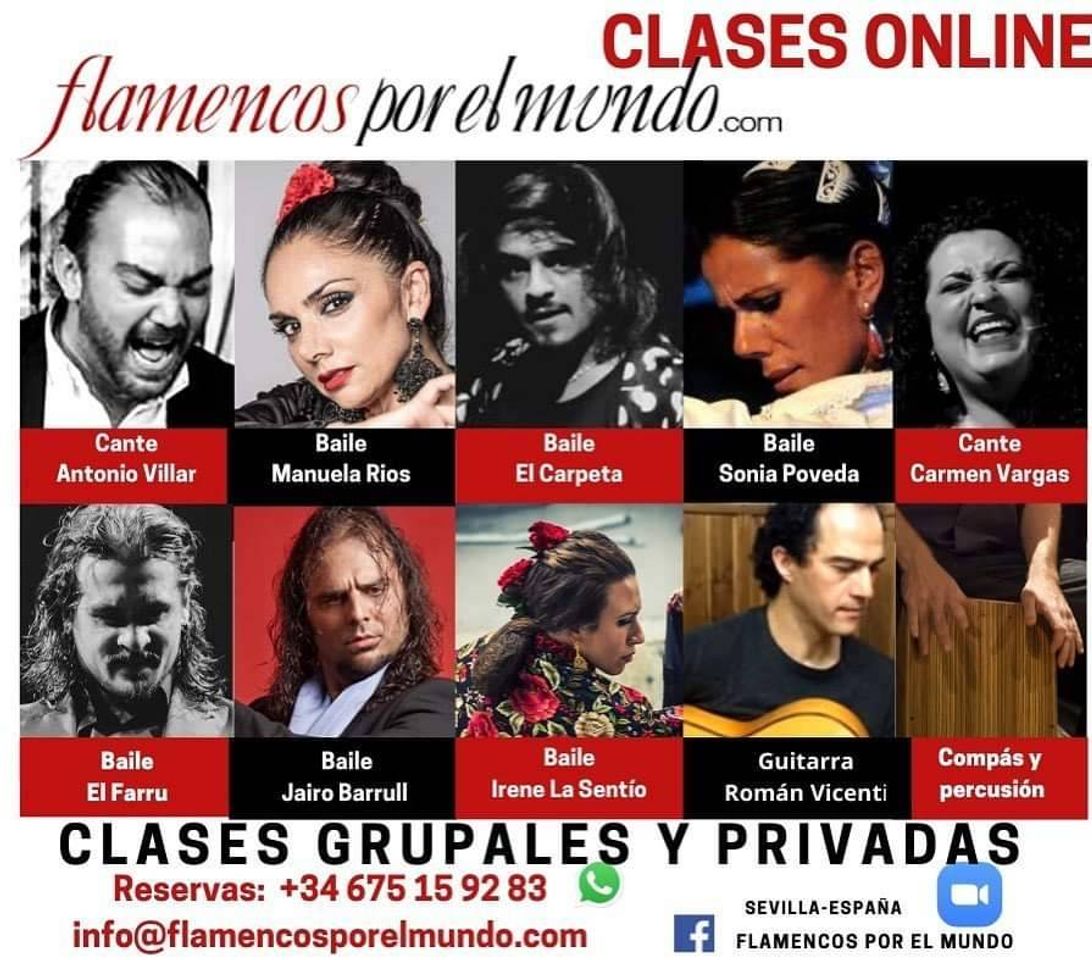 Fashion Flamencos por el mundo - Clases On Line