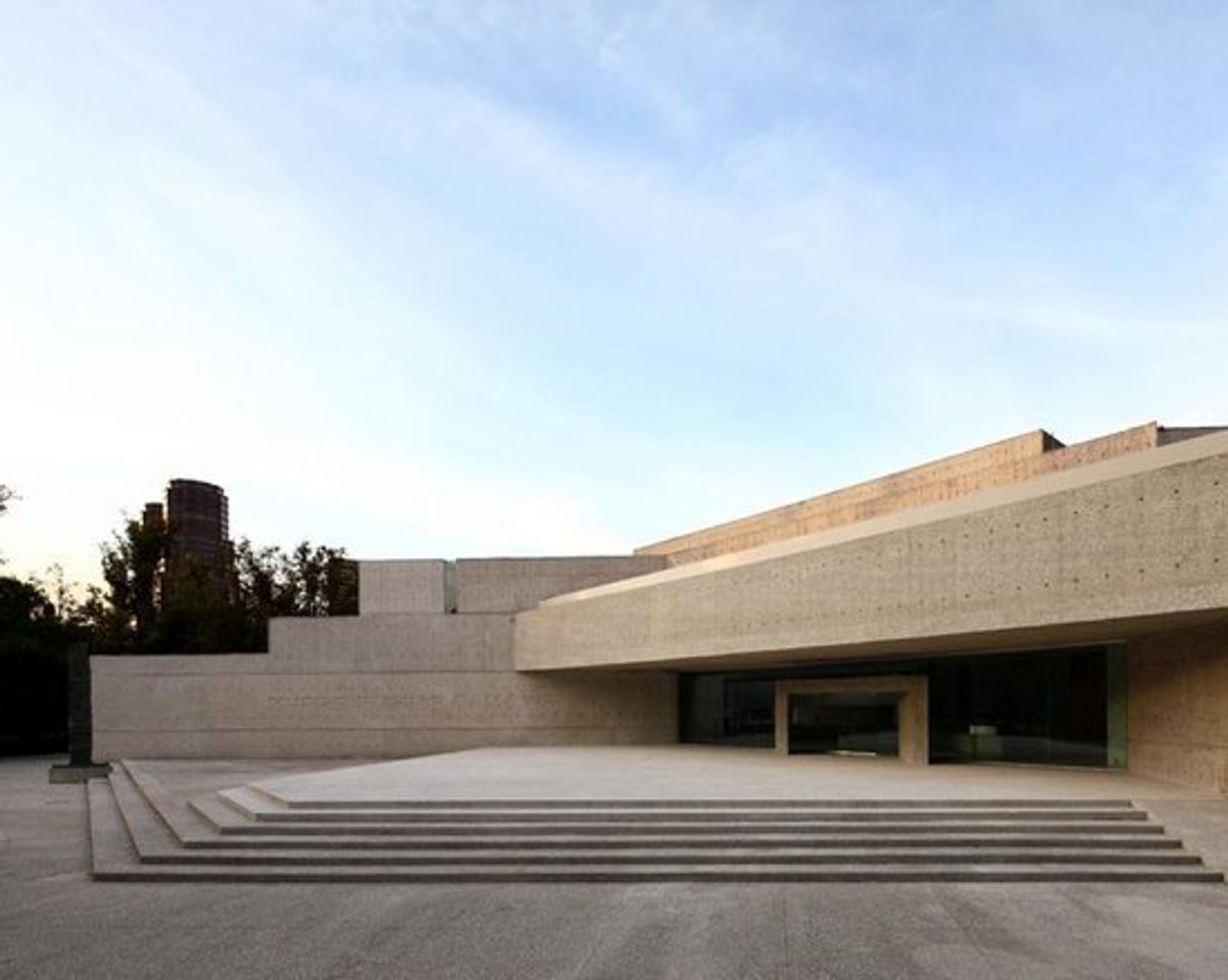 Place Museo Tamayo