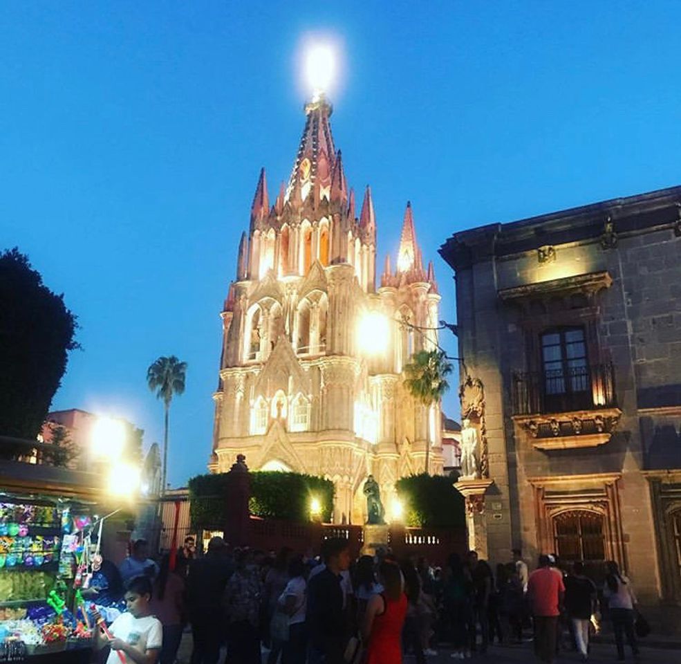 Place San Miguel de Allende