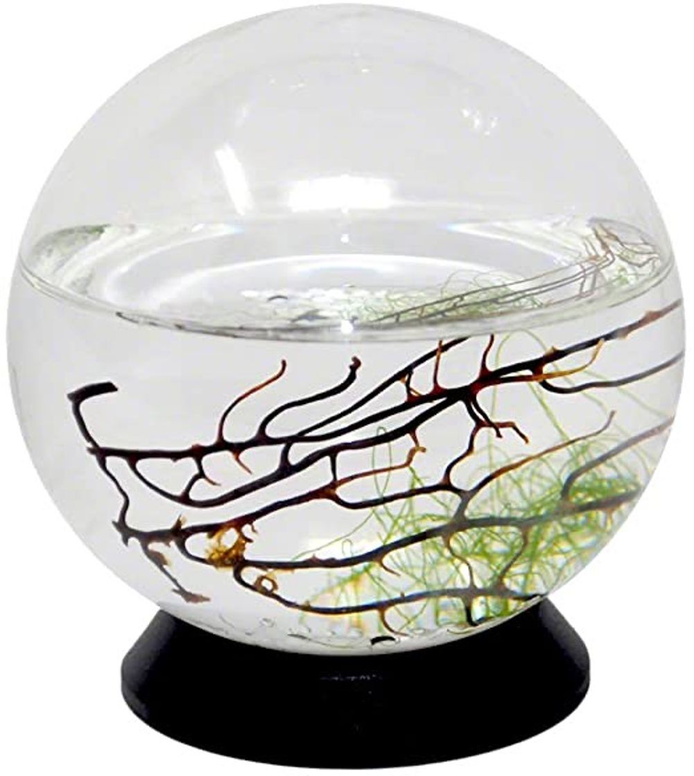 Fashion Ecosphere 