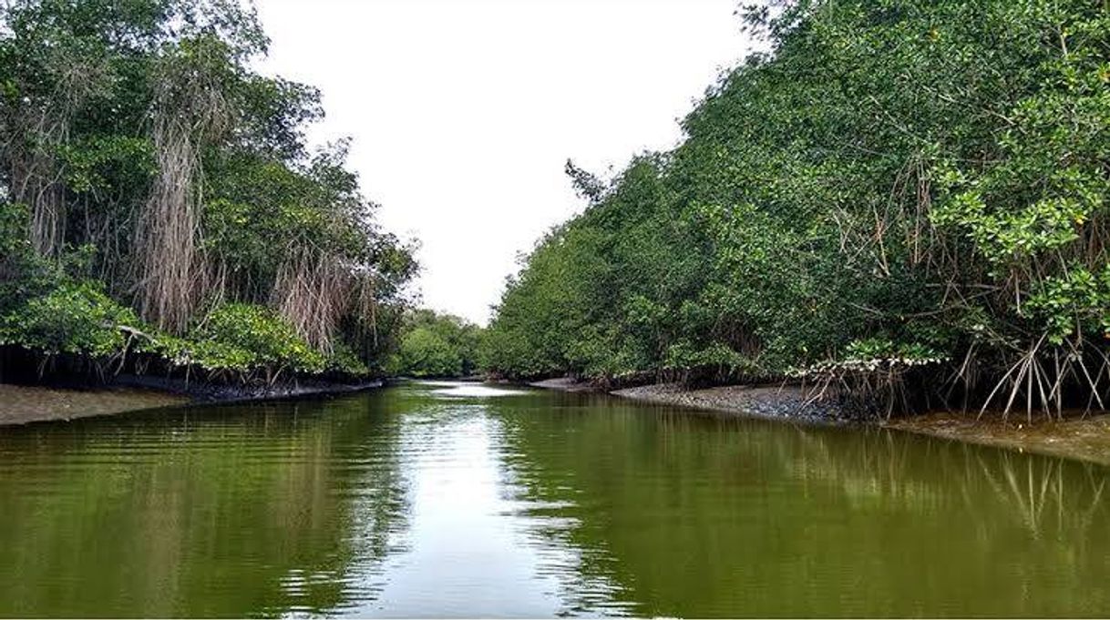 Place Santuario Nacional Los Manglares de Tumbes