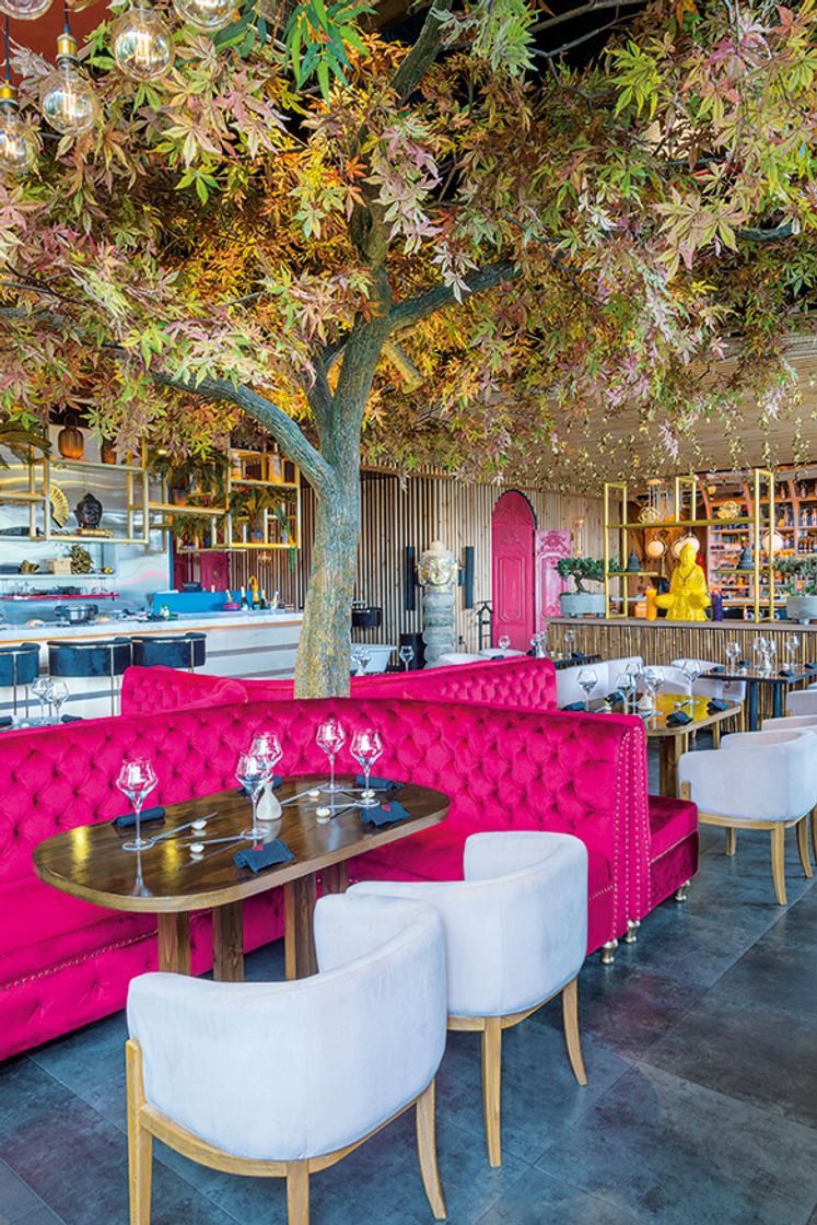 Restaurants Restaurante Viva La Vida