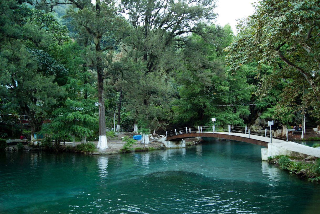 Lugar Laguna de Nogales