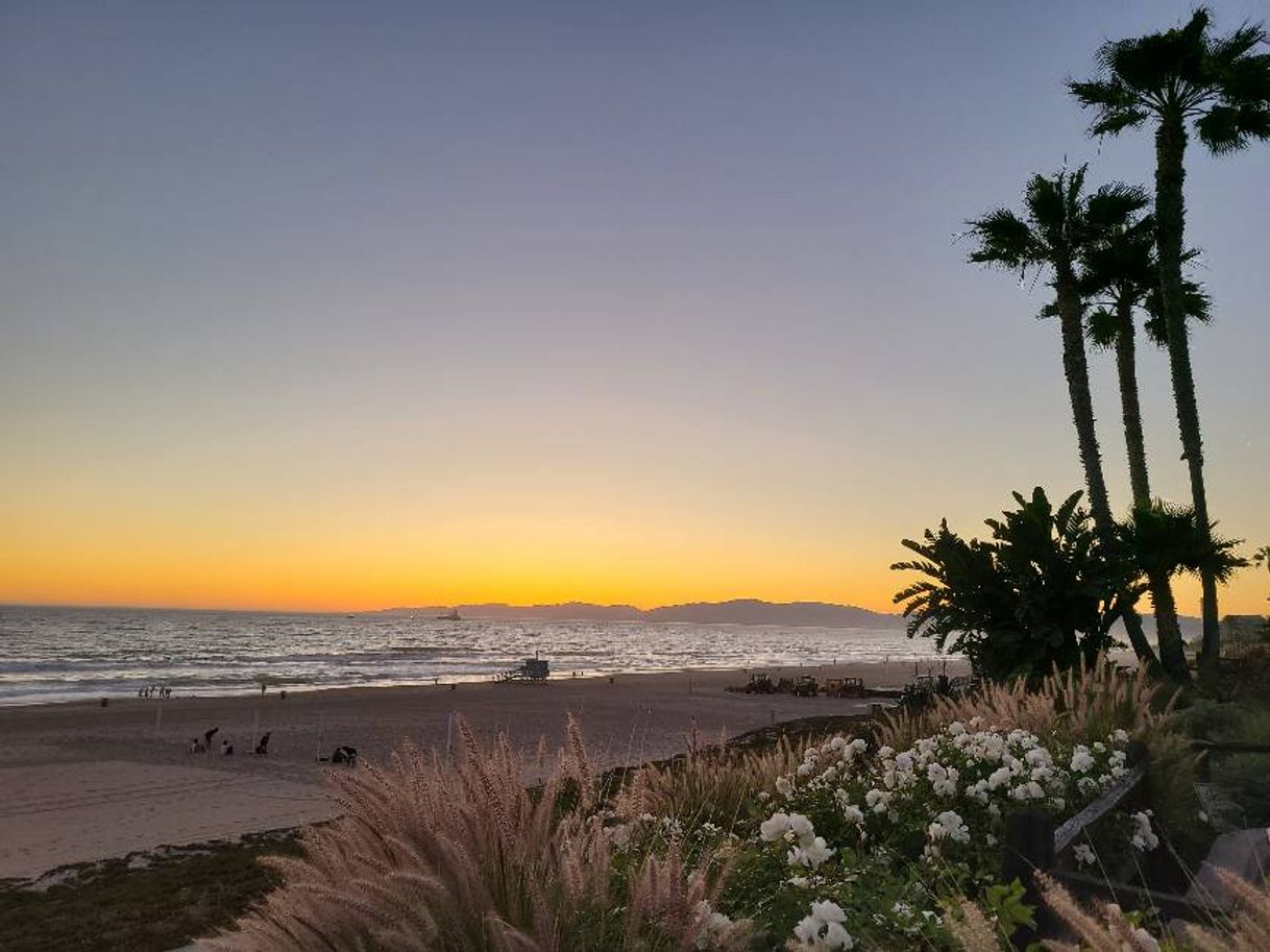 Place Manhattan Beach