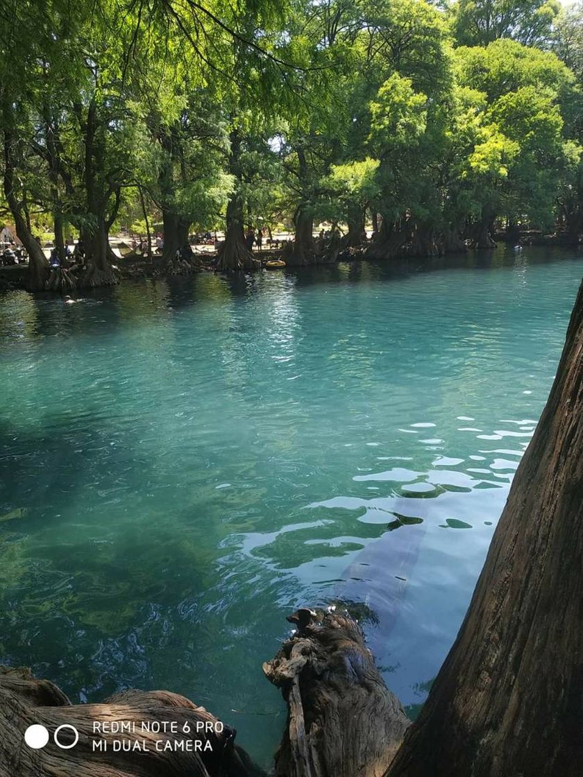 Lugar Lago de Camécuaro