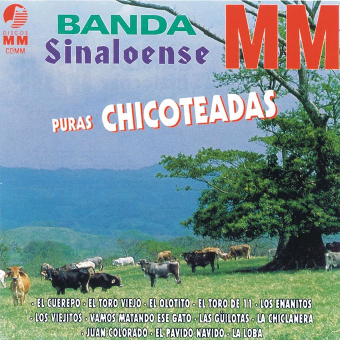 Canción El Toro Viejo