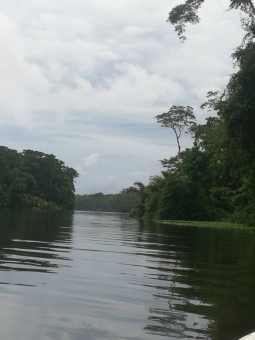 Tortuguero