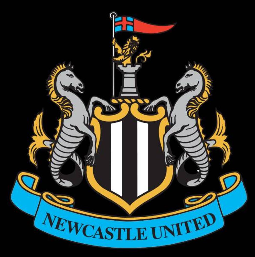 Producto Puma Newcastle United - Camiseta de fútbol