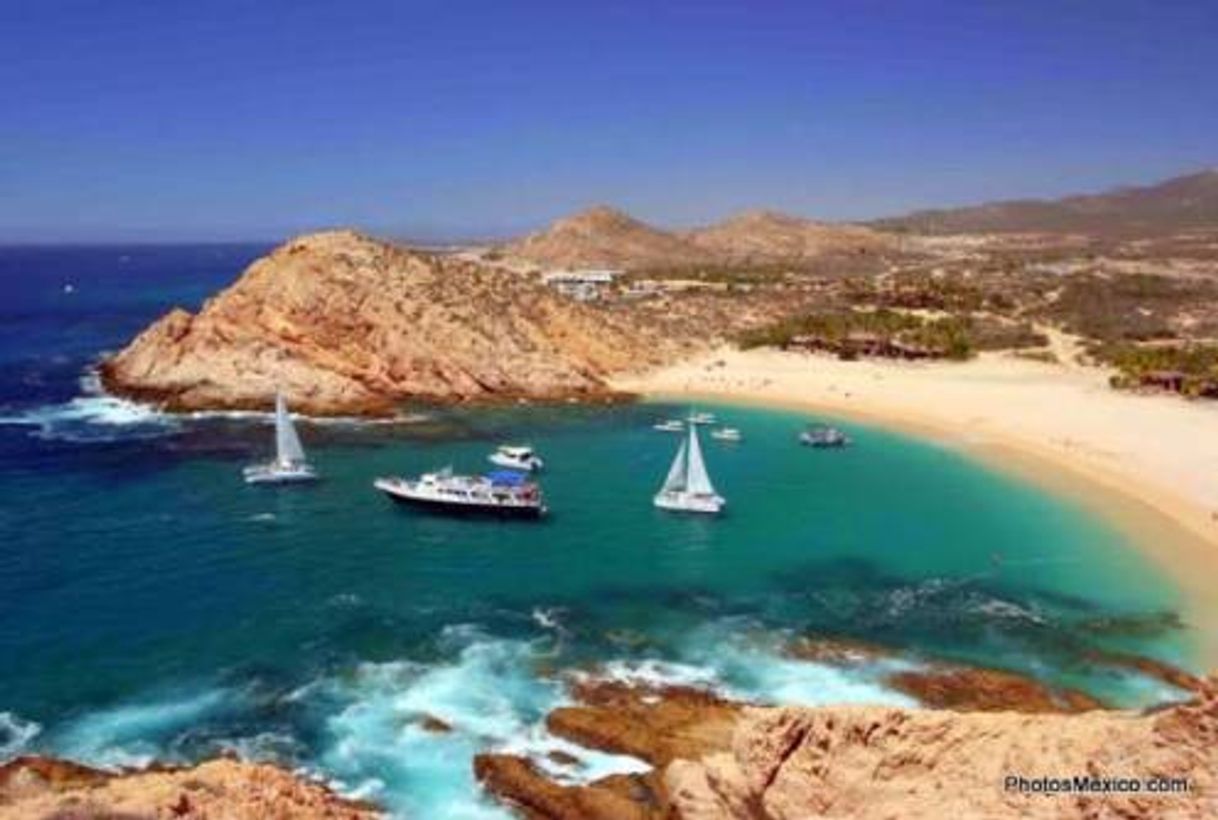 Place Los Cabos