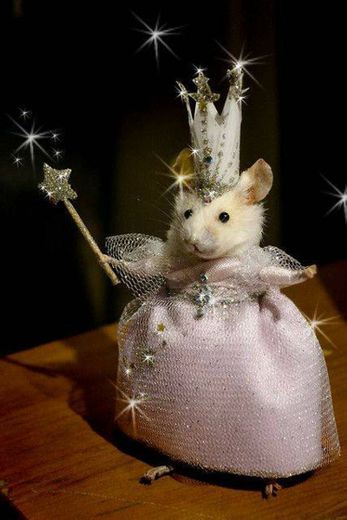 ratinho princesa