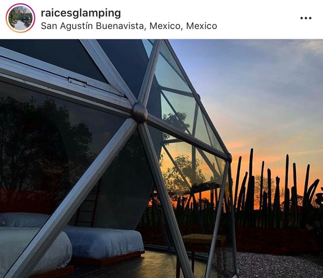 Lugar Glamping/Domo para ver las estrellas 