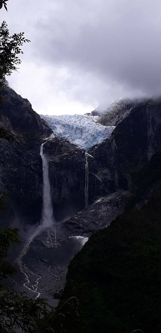 Queulat - Sendero Ventisquero Colgante